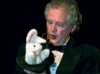 Puppets come to life!